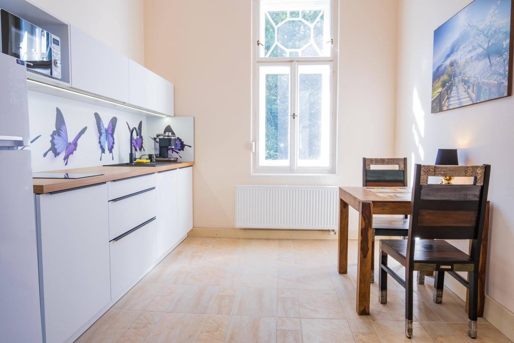 Ertlova Vila ヤブロネツ・ナド・ニソウ 部屋 写真